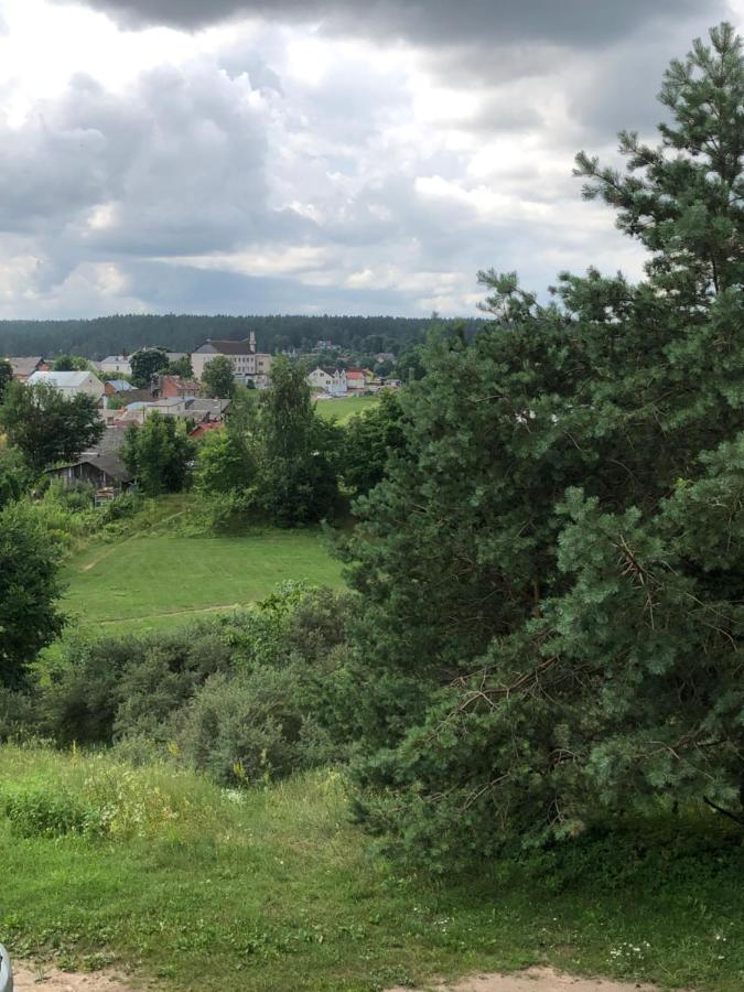 Kraslava City Apartment エクステリア 写真